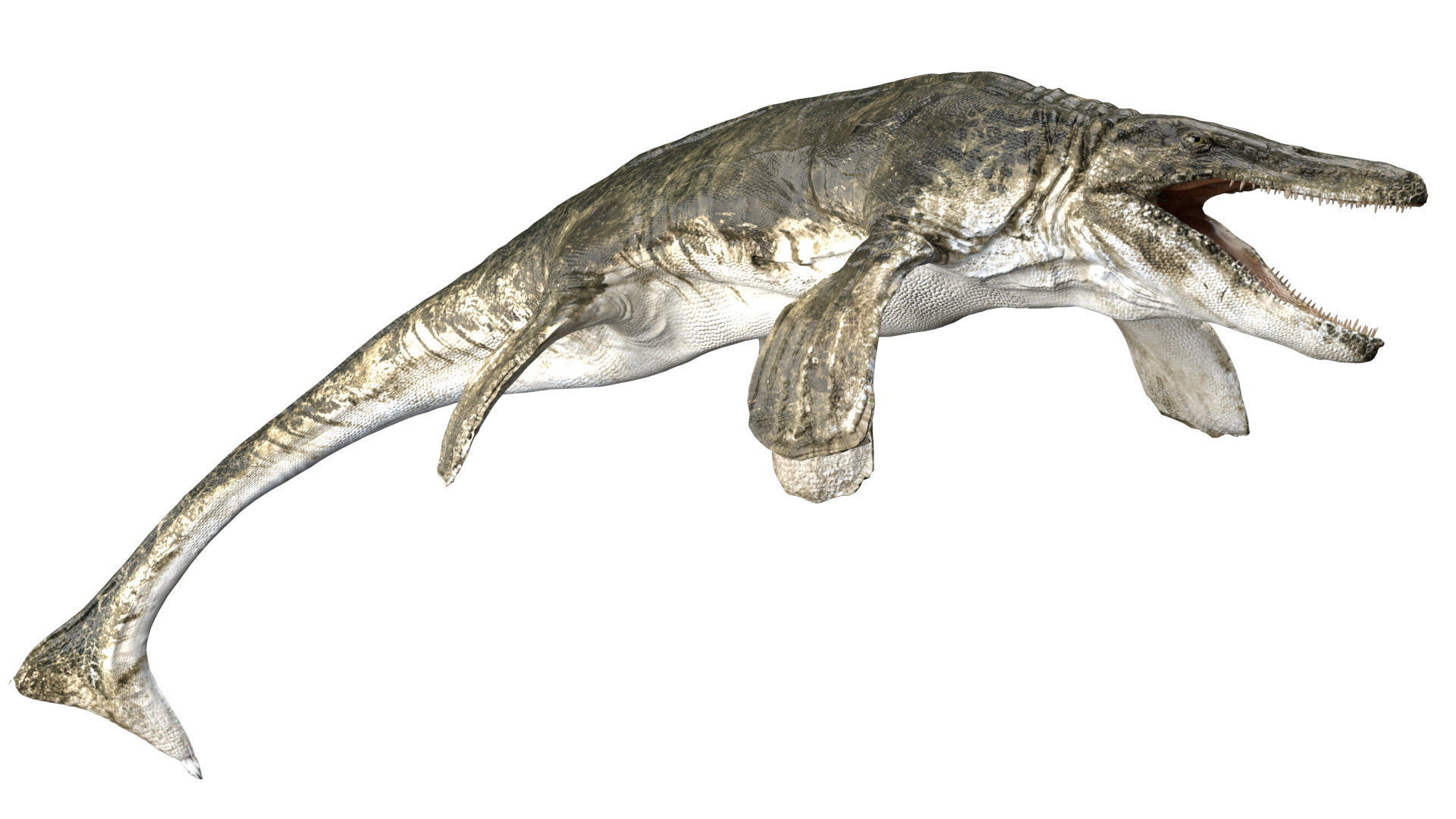 Tylosaurus 3D model Rigged Low-poly 3D model_10