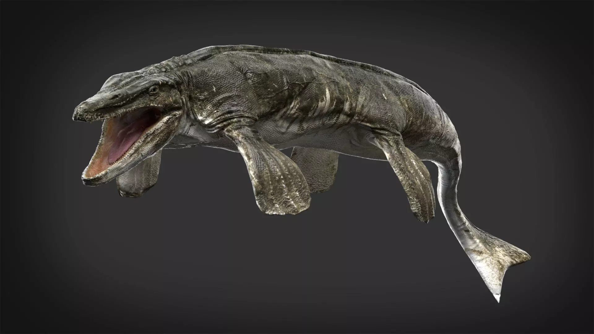 Tylosaurus 3D model Rigged Low-poly 3D model_0