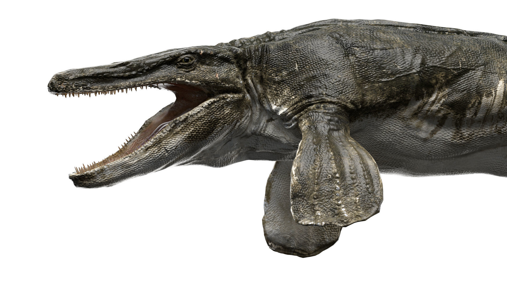 Tylosaurus 3D model Rigged Low-poly 3D model_1