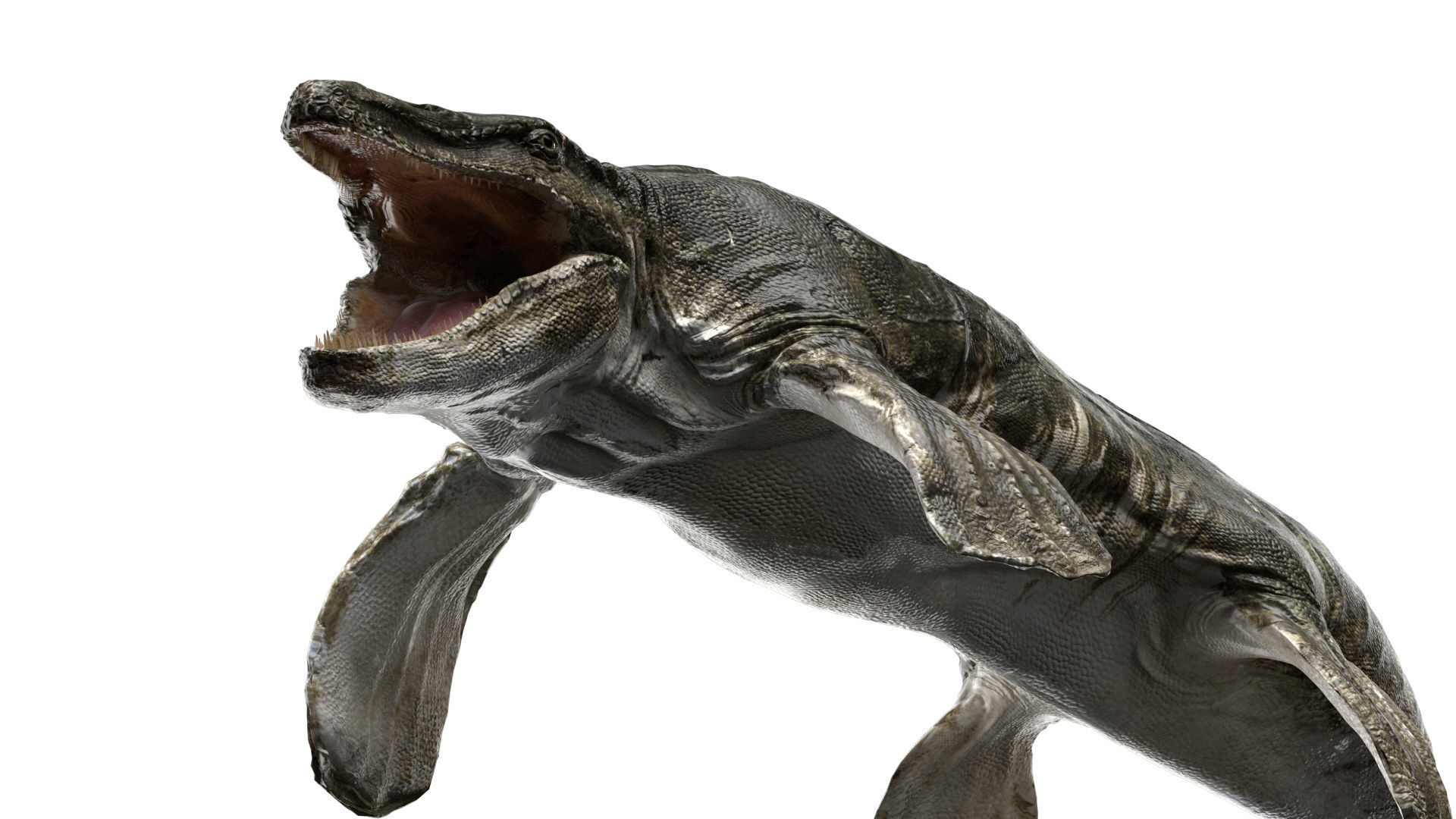 Tylosaurus 3D model Rigged Low-poly 3D model_4