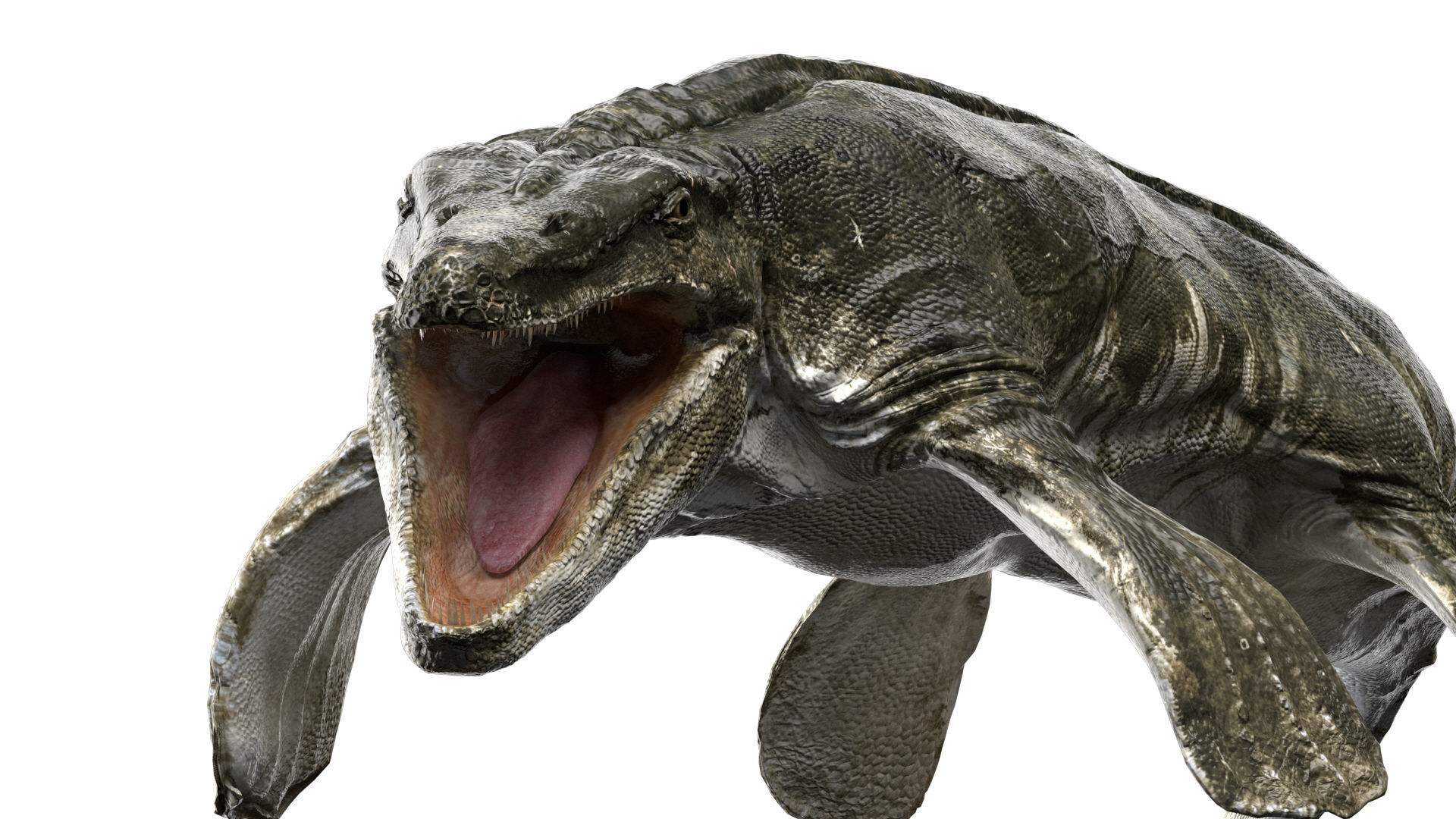 Tylosaurus 3D model Rigged Low-poly 3D model_6