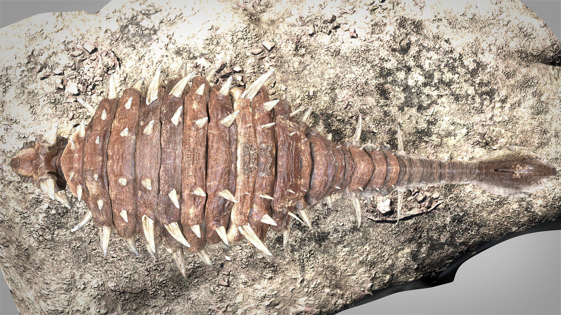 Ankylosaurus Rigged 3D model Low-poly 3D model_10