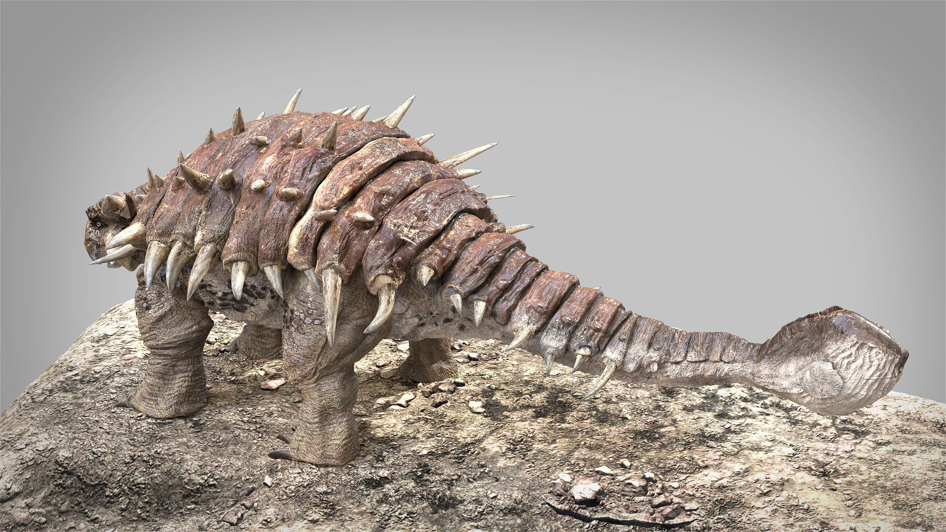 Ankylosaurus Rigged 3D model Low-poly 3D model_11