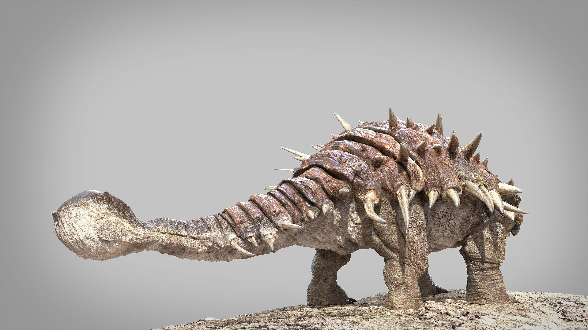 Ankylosaurus Rigged 3D model Low-poly 3D model_5