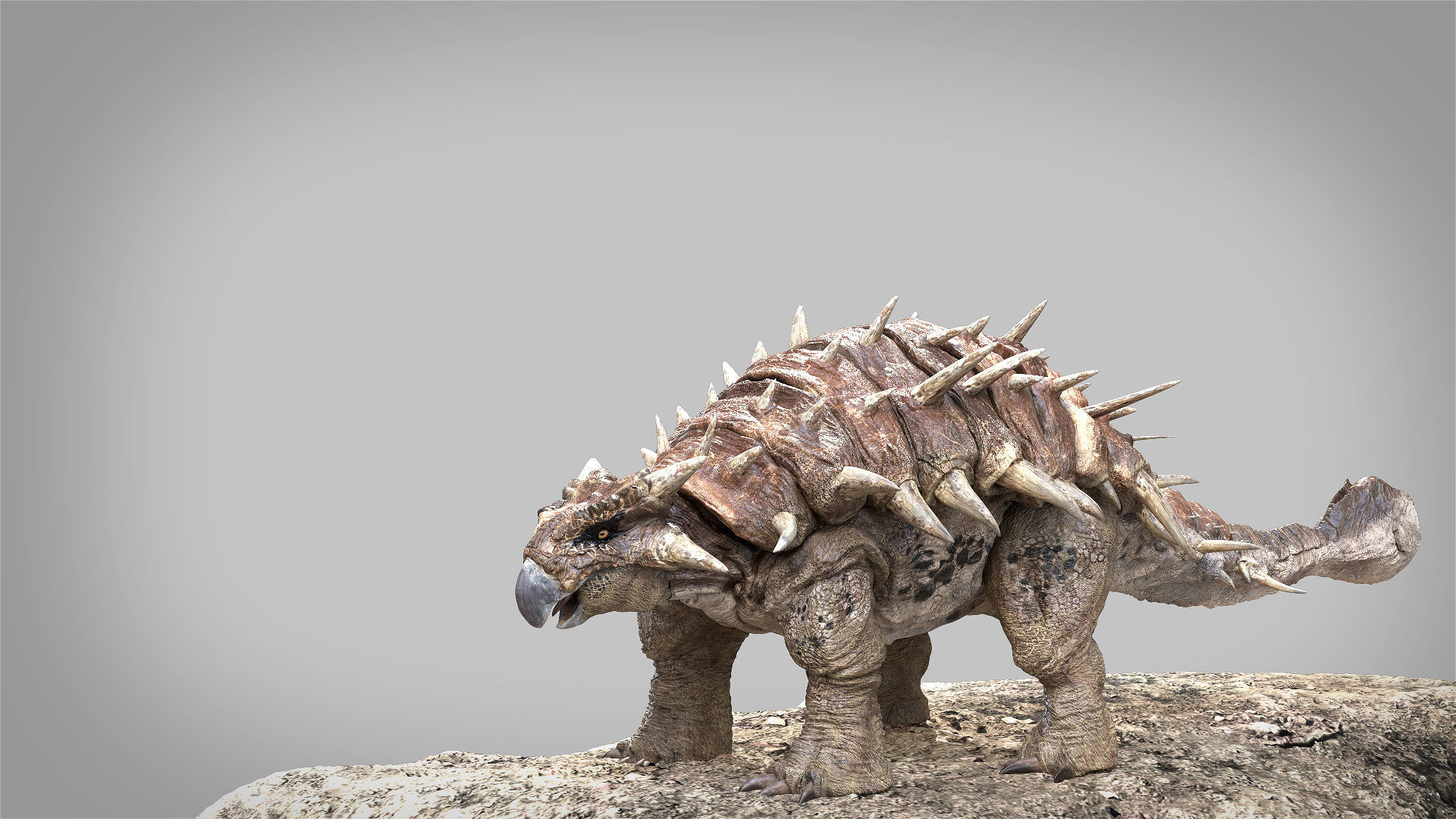 Ankylosaurus Rigged 3D model Low-poly 3D model_12