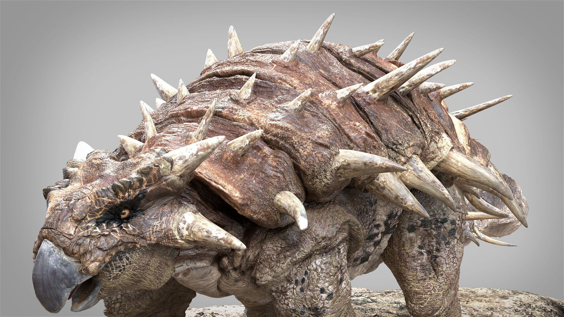 Ankylosaurus Rigged 3D model Low-poly 3D model_7