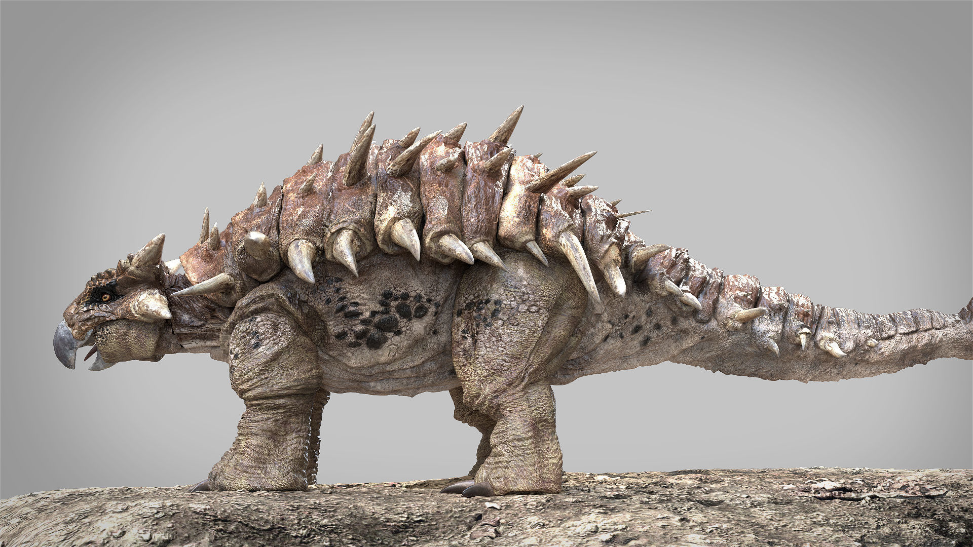 Ankylosaurus Rigged 3D model Low-poly 3D model_4