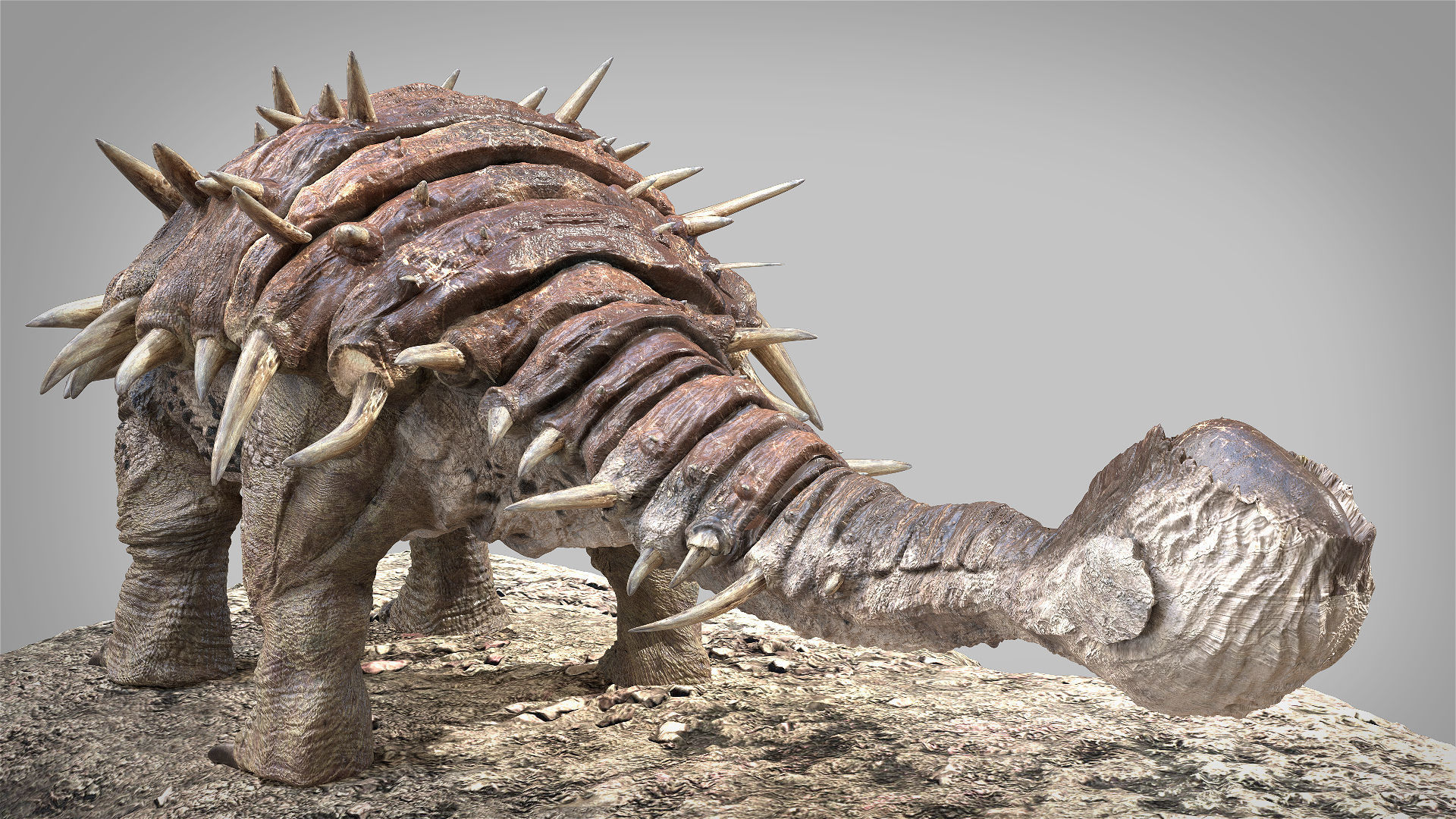 Ankylosaurus Rigged 3D model Low-poly 3D model_2