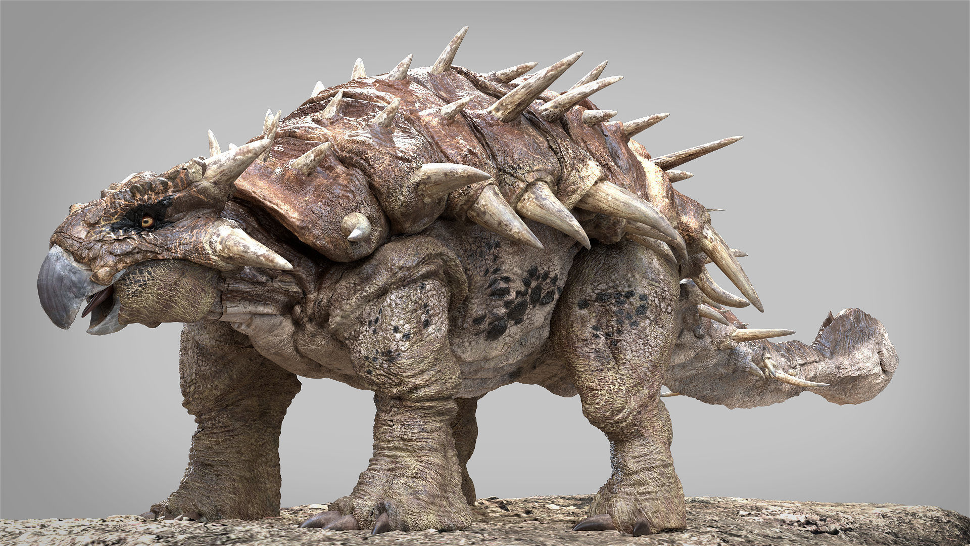 Ankylosaurus Rigged 3D model Low-poly 3D model_3