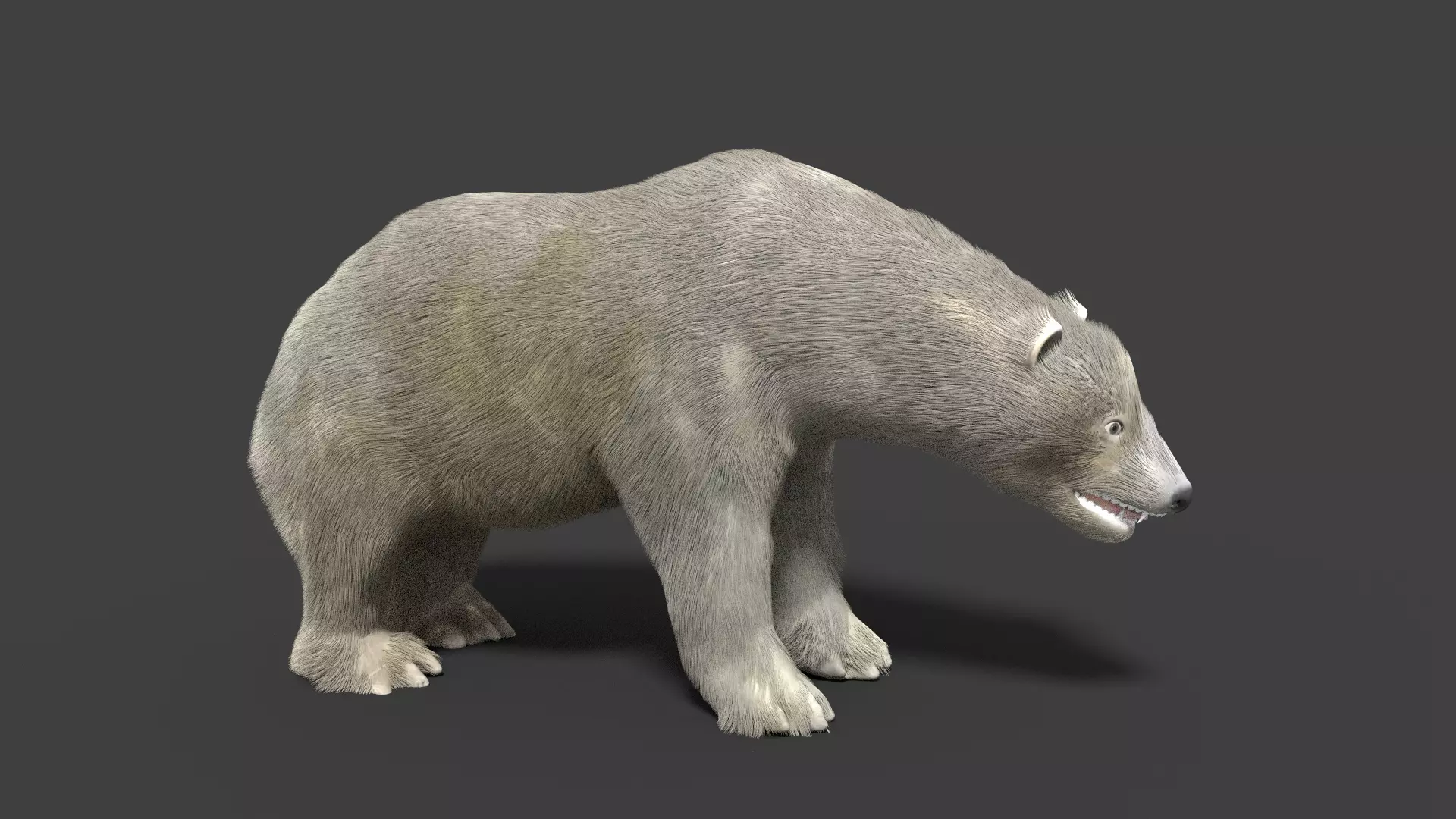 Polar Bear Animated 3D model