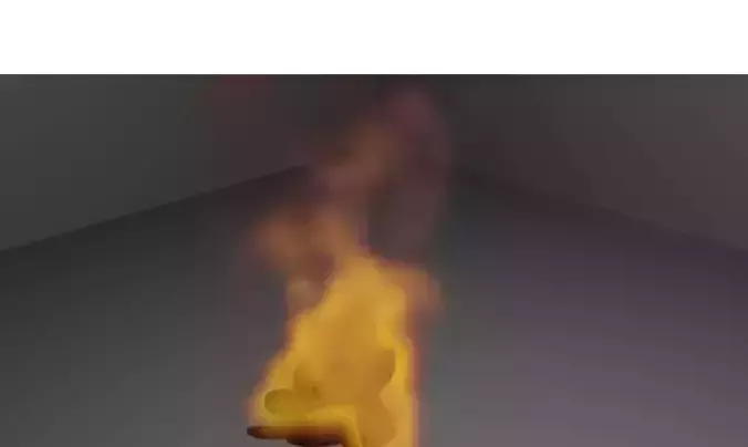 The fire Free 3D model