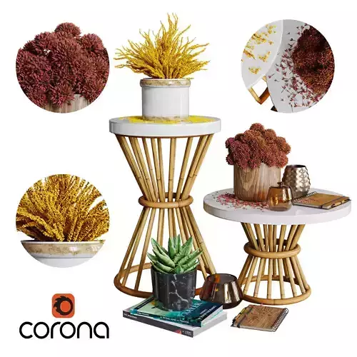 Aloysia Rattan decorative set