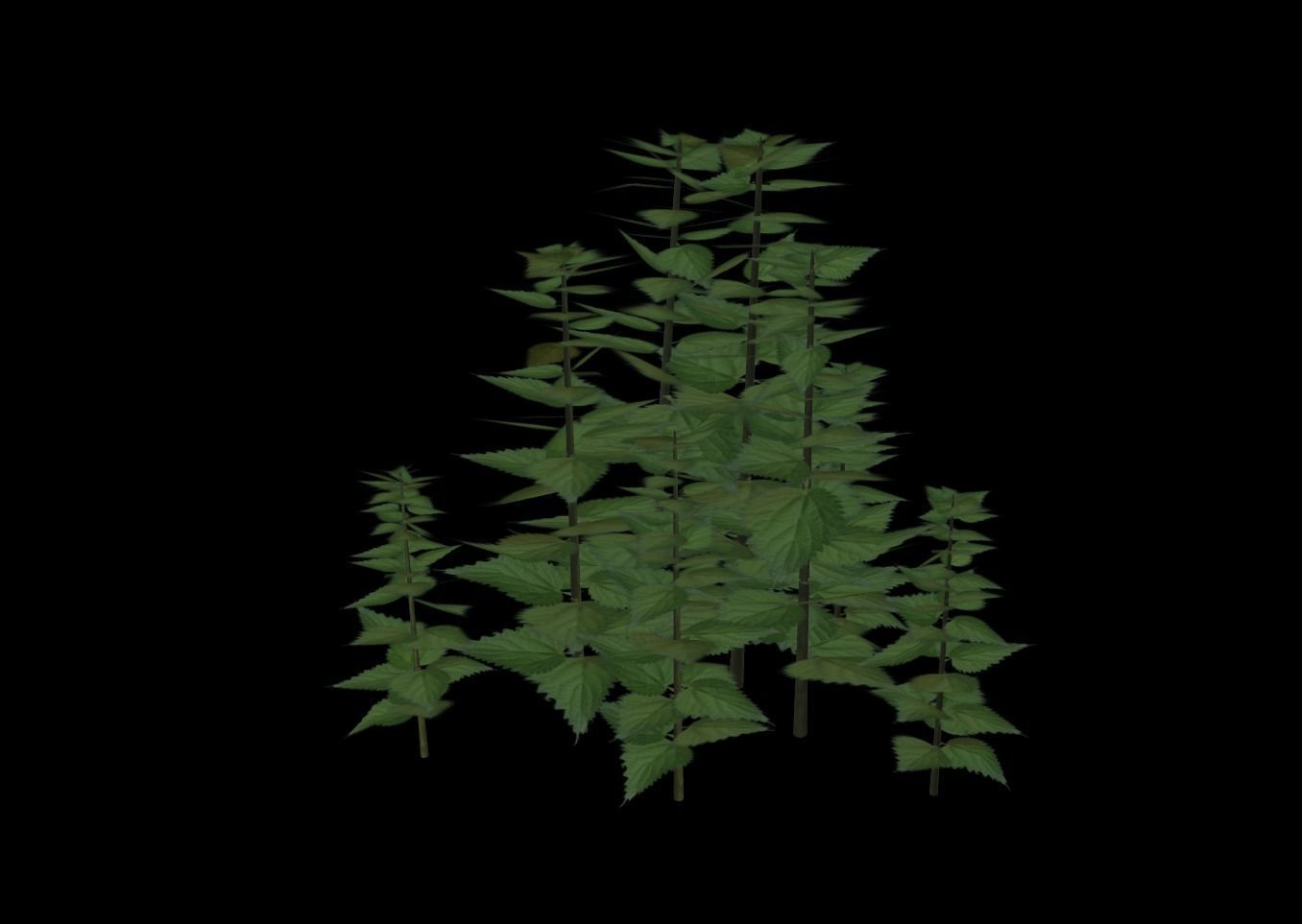 Stinging Nettle Low-poly 3D model_2
