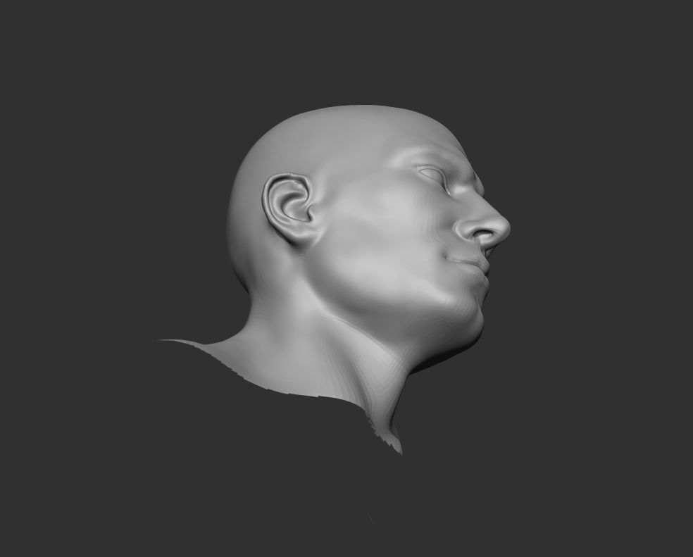 Male Head Realistic Base Mesh 3D Model 3D model_4