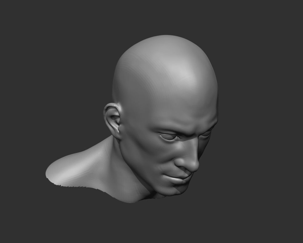 Male Head Realistic Base Mesh 3D Model 3D model_11