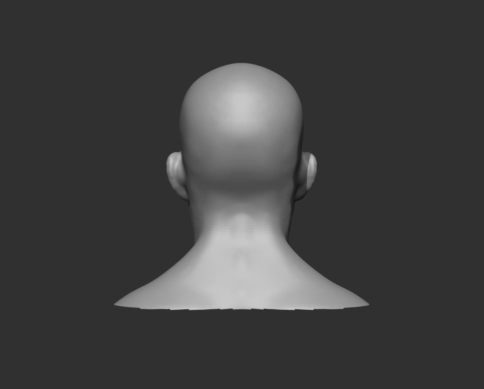 Male Head Realistic Base Mesh 3D Model 3D model_8