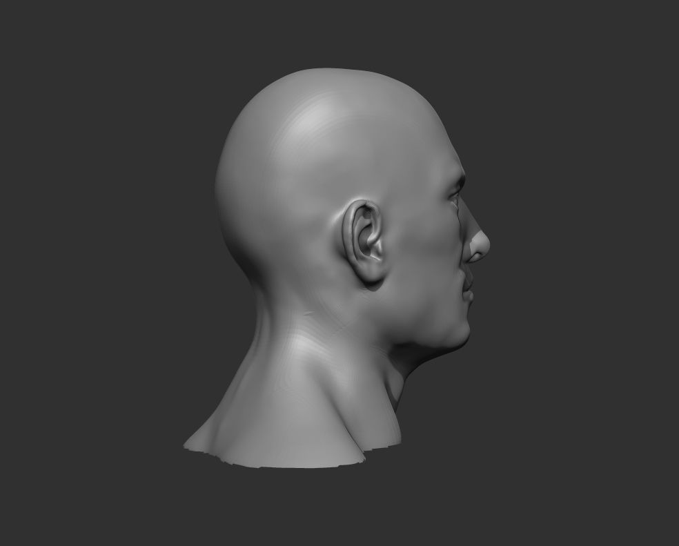Male Head Realistic Base Mesh 3D Model 3D model_3