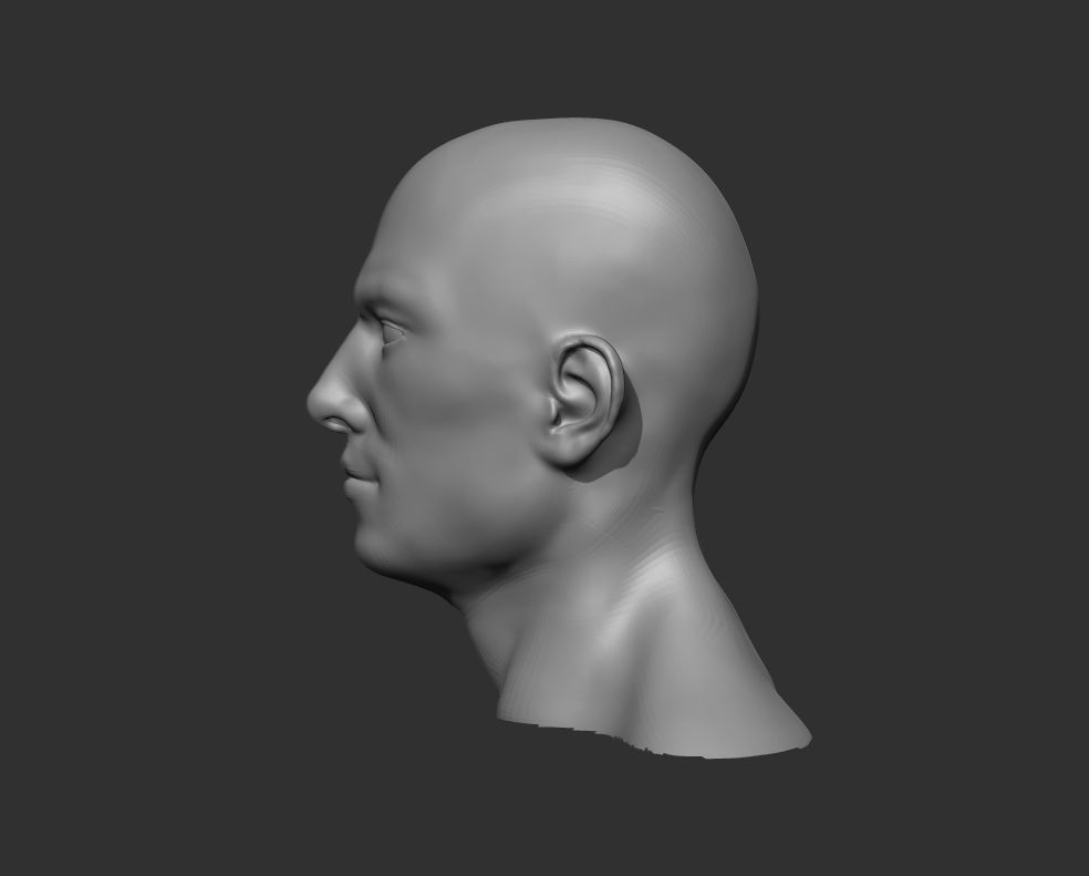 Male Head Realistic Base Mesh 3D Model 3D model_5