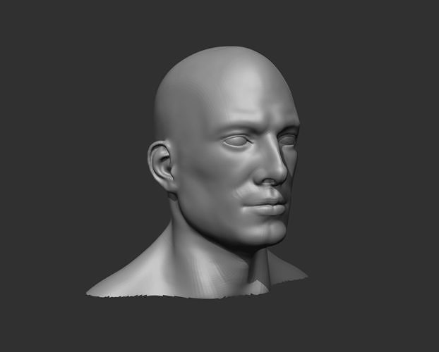 Male Head Realistic Base Mesh 3D Model 3D model