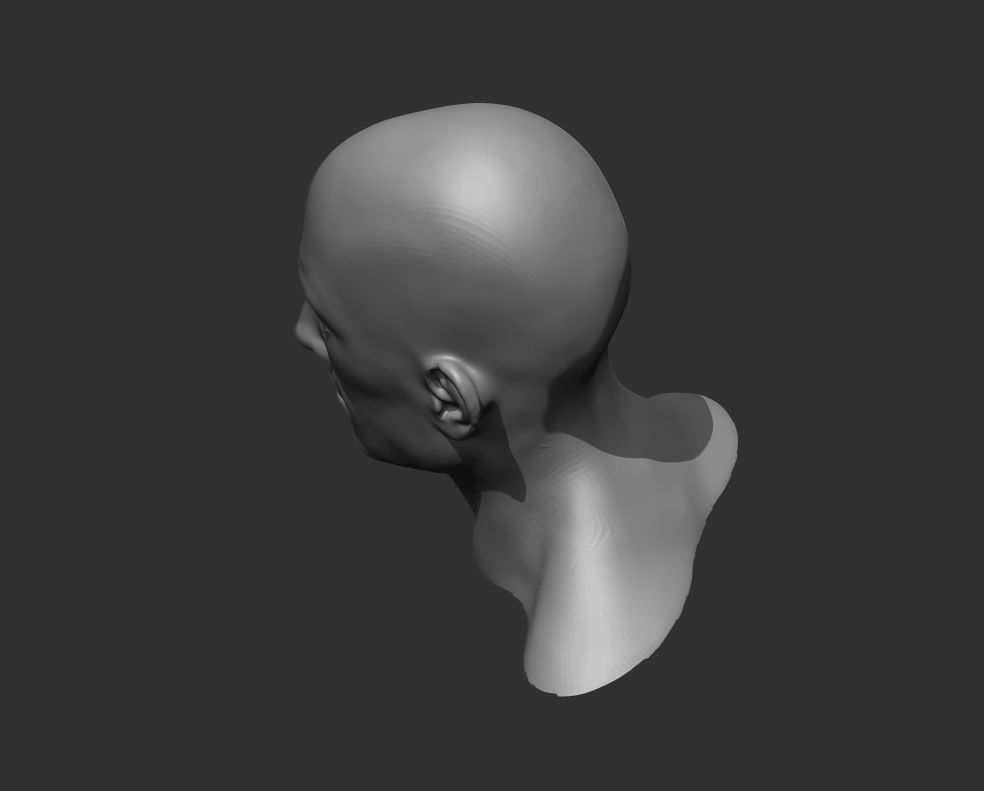 Male Head Realistic Base Mesh 3D Model 3D model_12