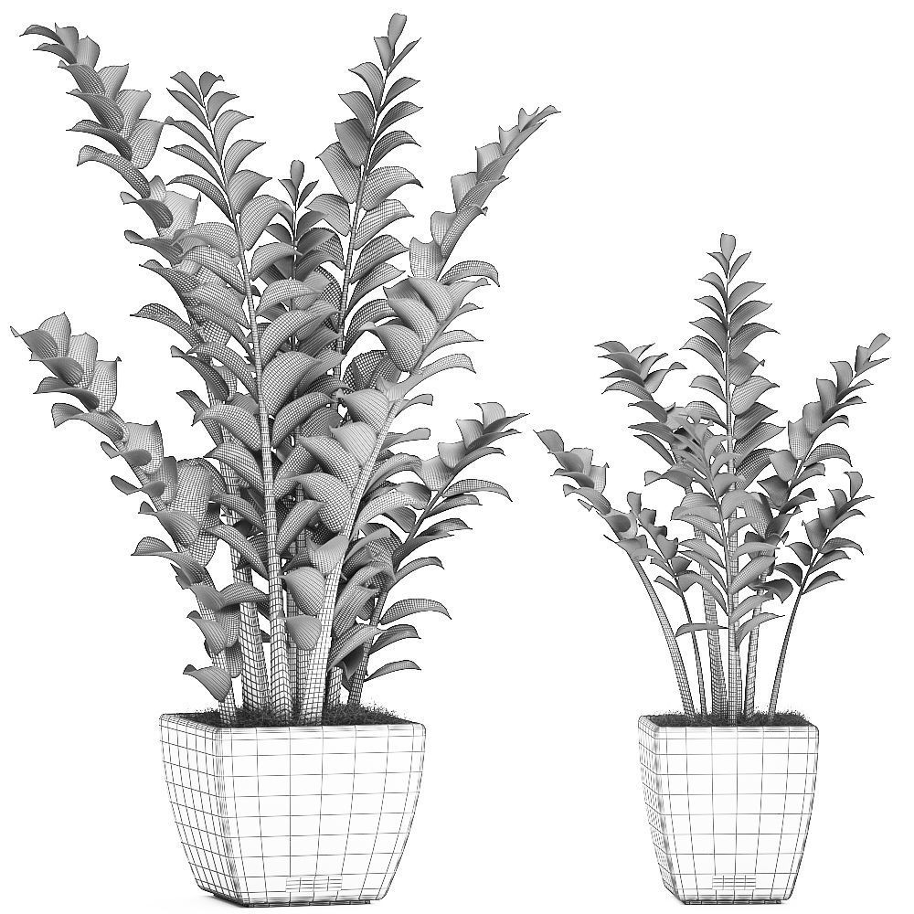Zamioculcas in pots on a stand for the interior 527 3D model_7
