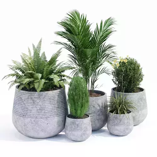 Fiber Clay Planter Set