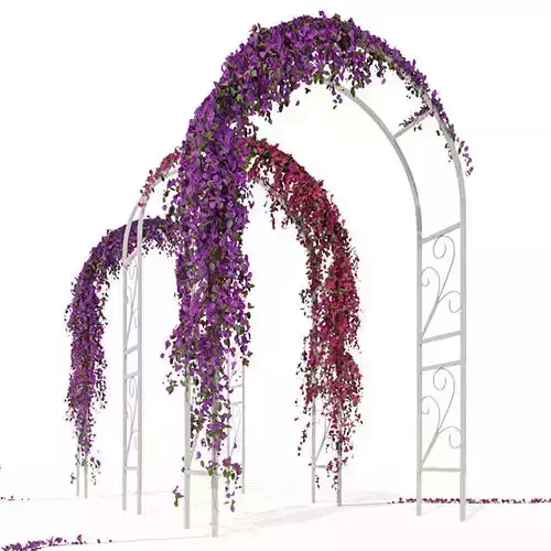 Ivy Pergola