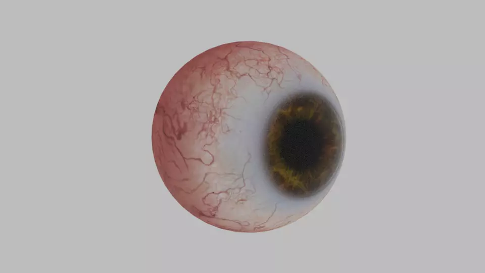 Huuman eye 3D model_0