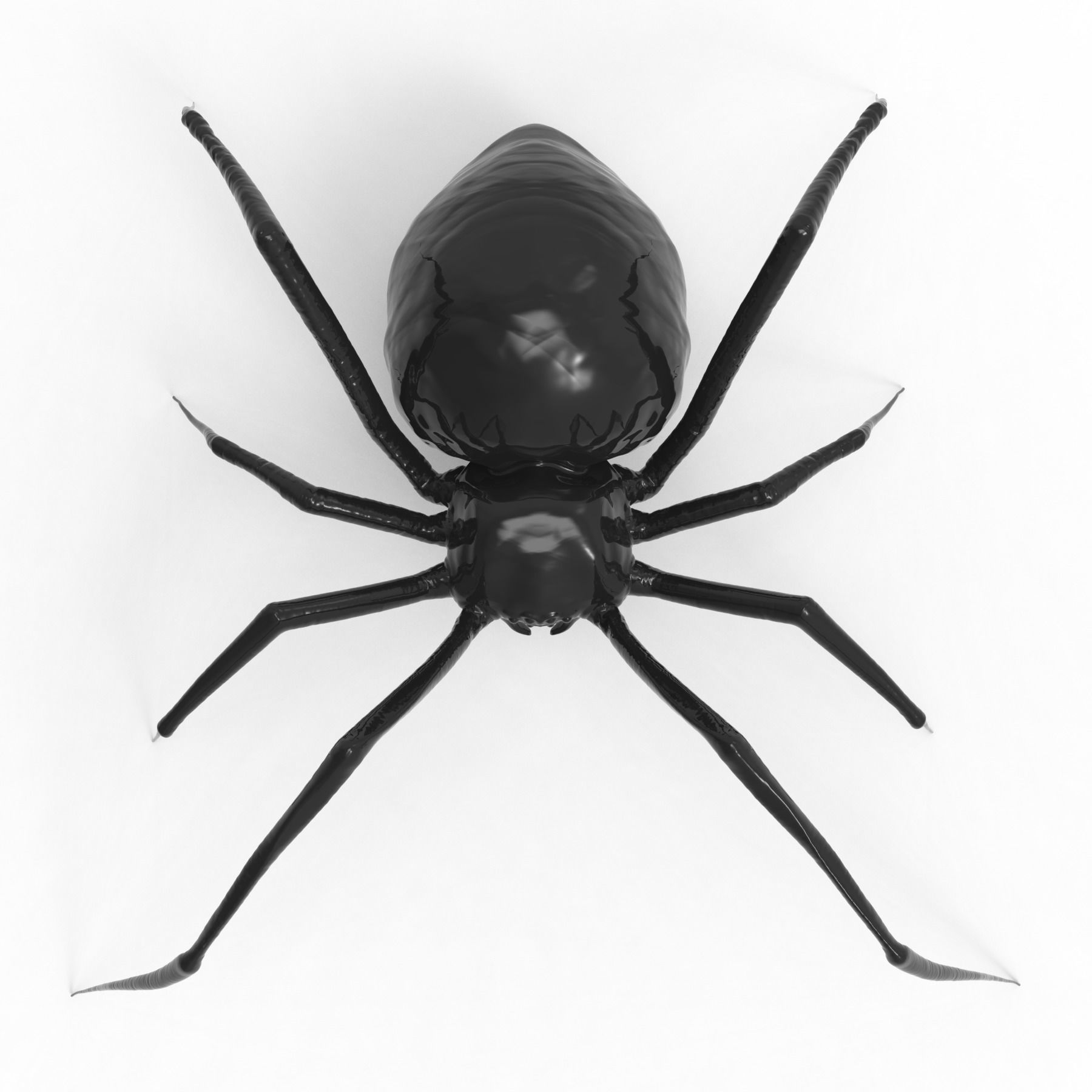 Spider 3D model_2