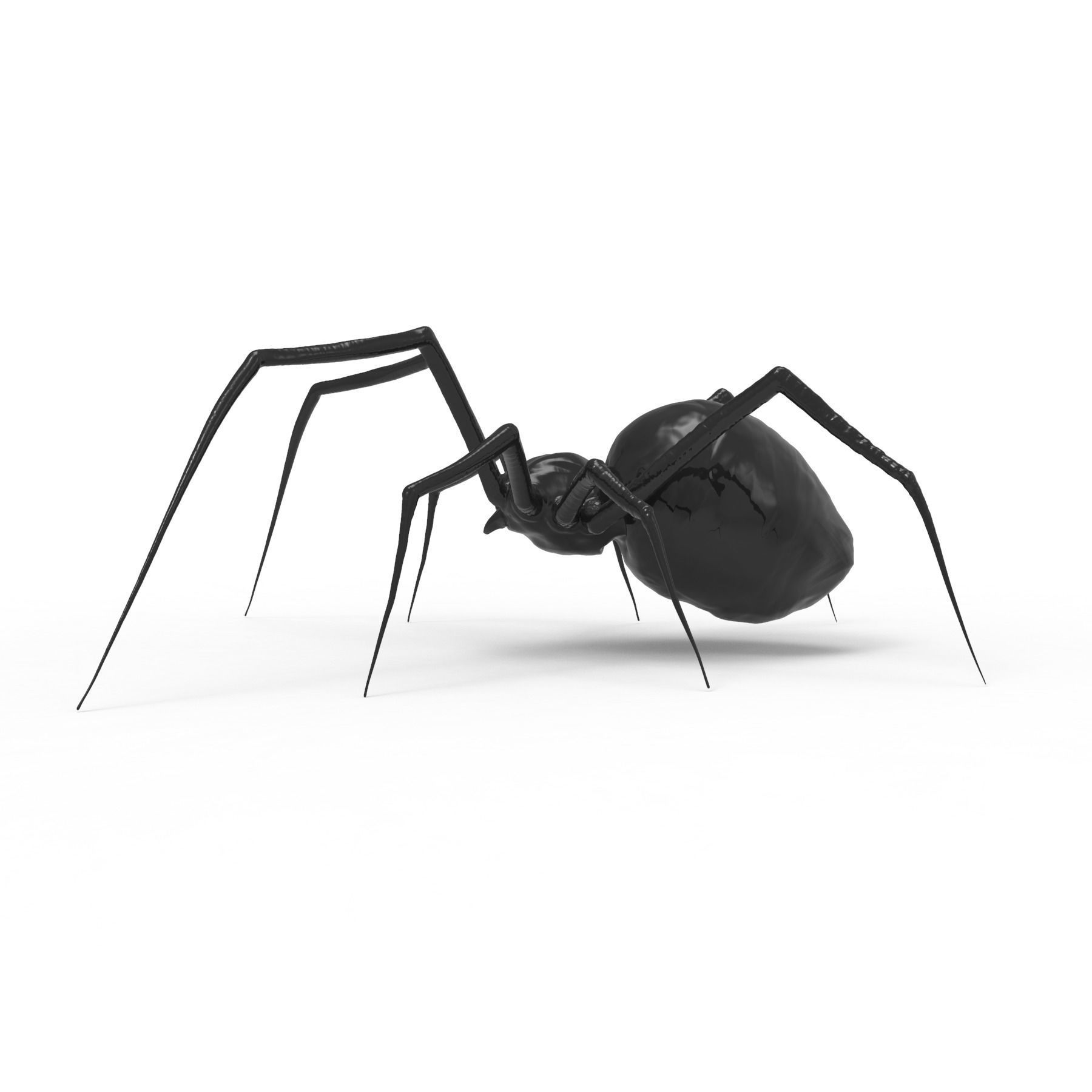 Spider 3D model_3