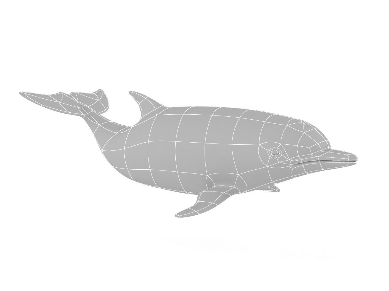 Dolphin toy 3D model_7