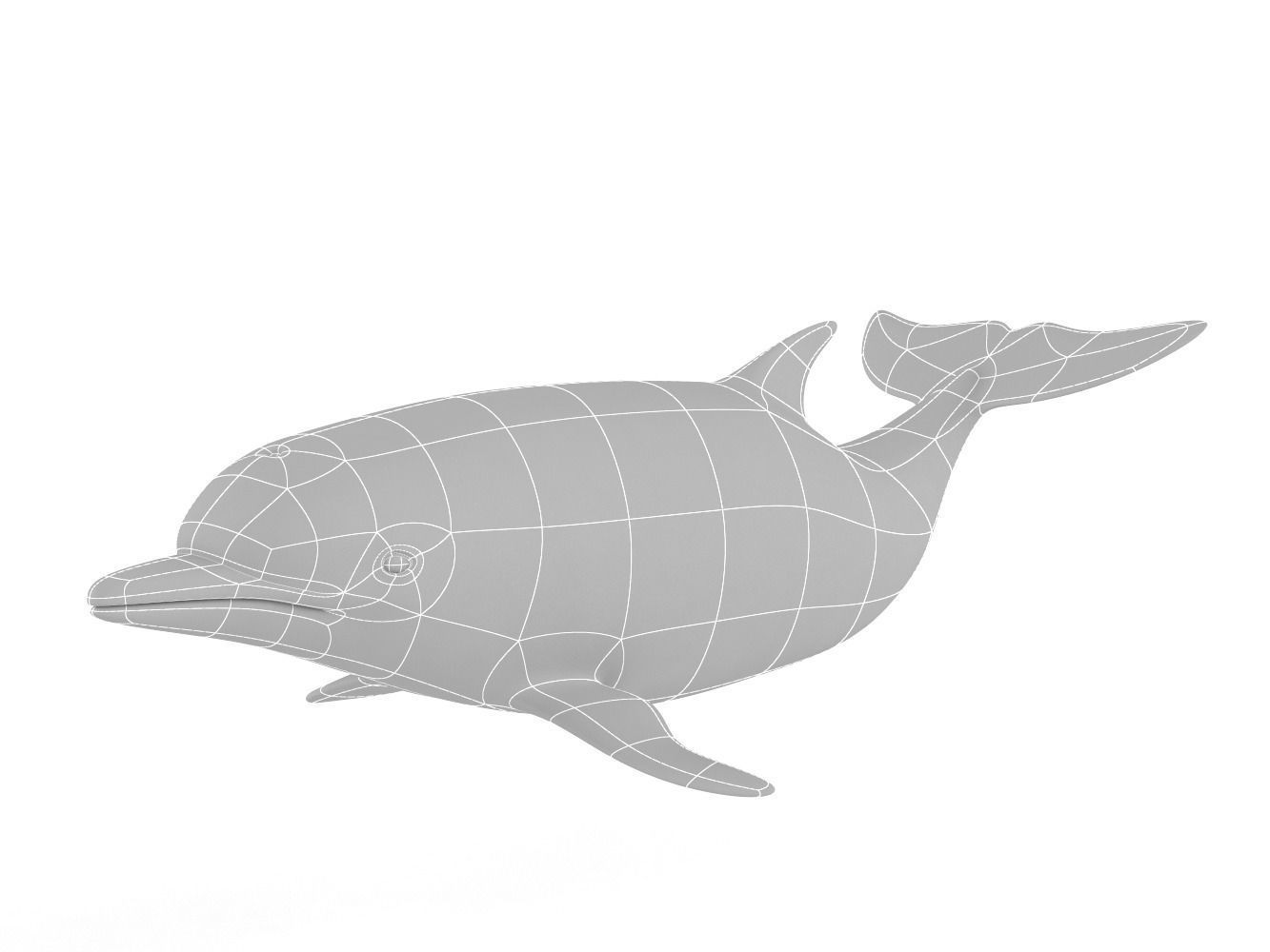 Dolphin toy 3D model_10