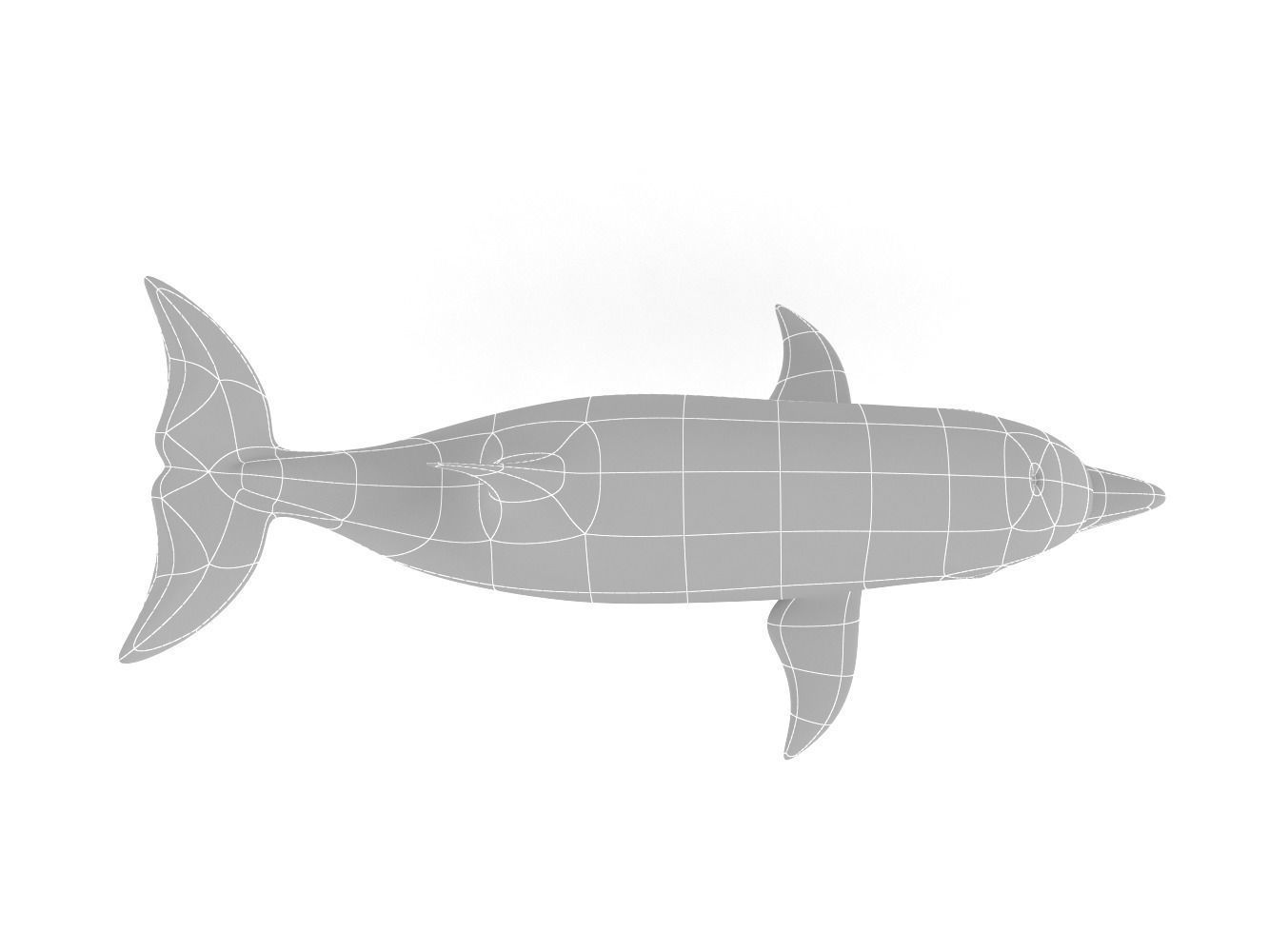 Dolphin toy 3D model_11