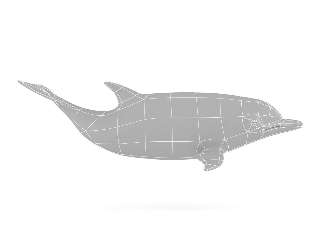 Dolphin toy 3D model_6