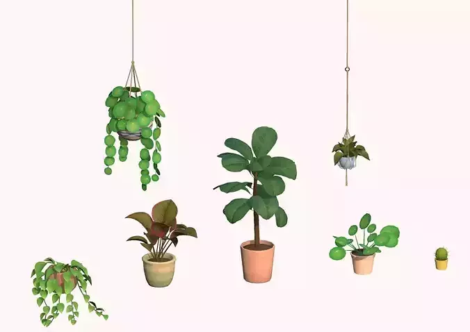 Happy Houseplant Set