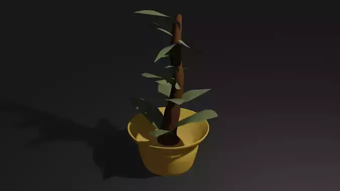 Yellow Pot Plant