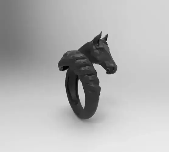horse ring
