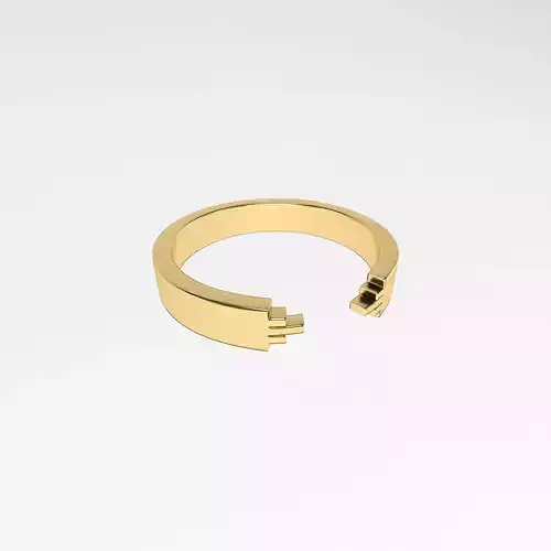 Minimalist Ring v1 003