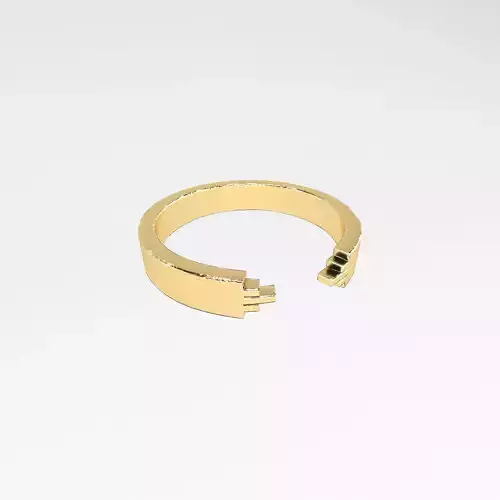 Minimalist Ring v1 004