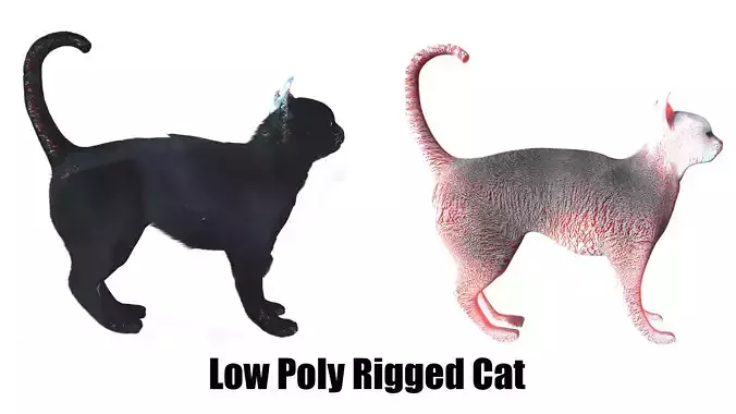 Low Poly     Black cat      Rigged 