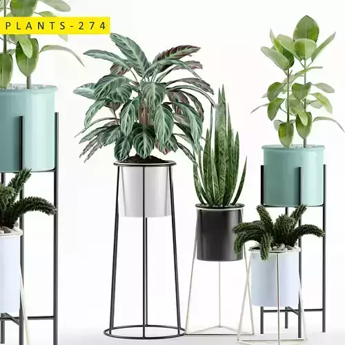plants 274