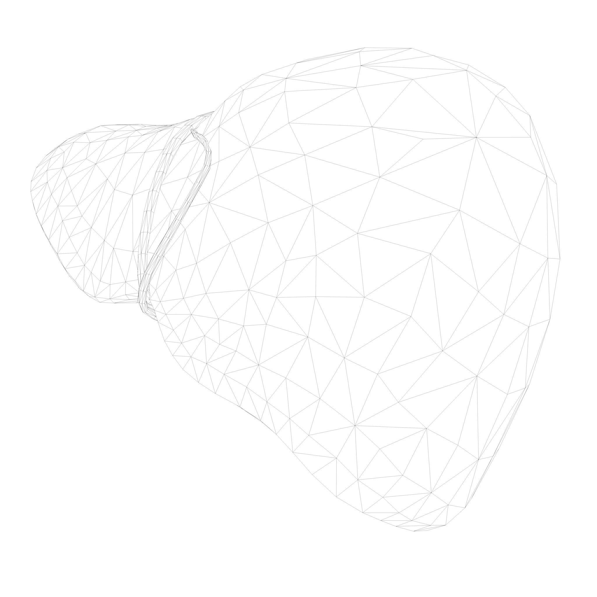 Human Liver Low-poly 3D model_9