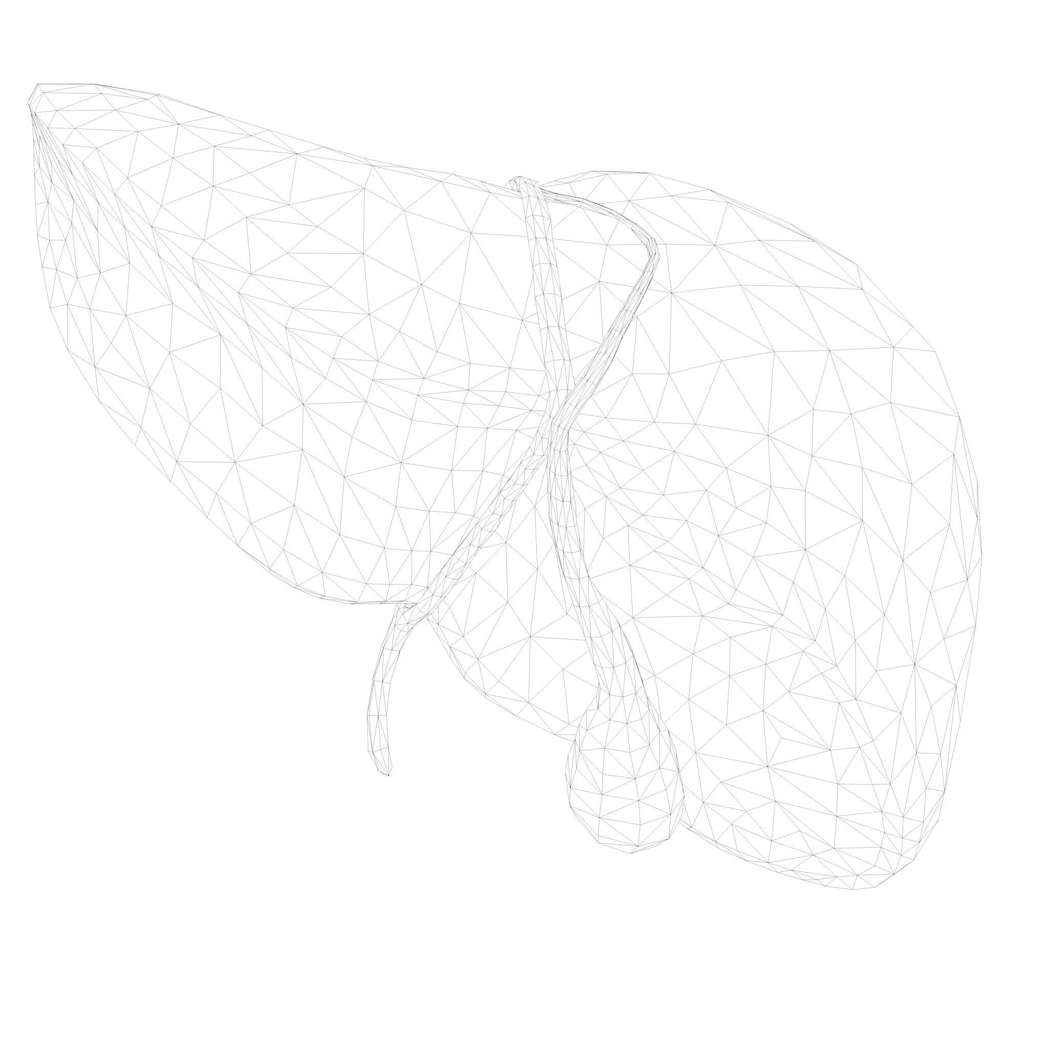 Human Liver Low-poly 3D model_8