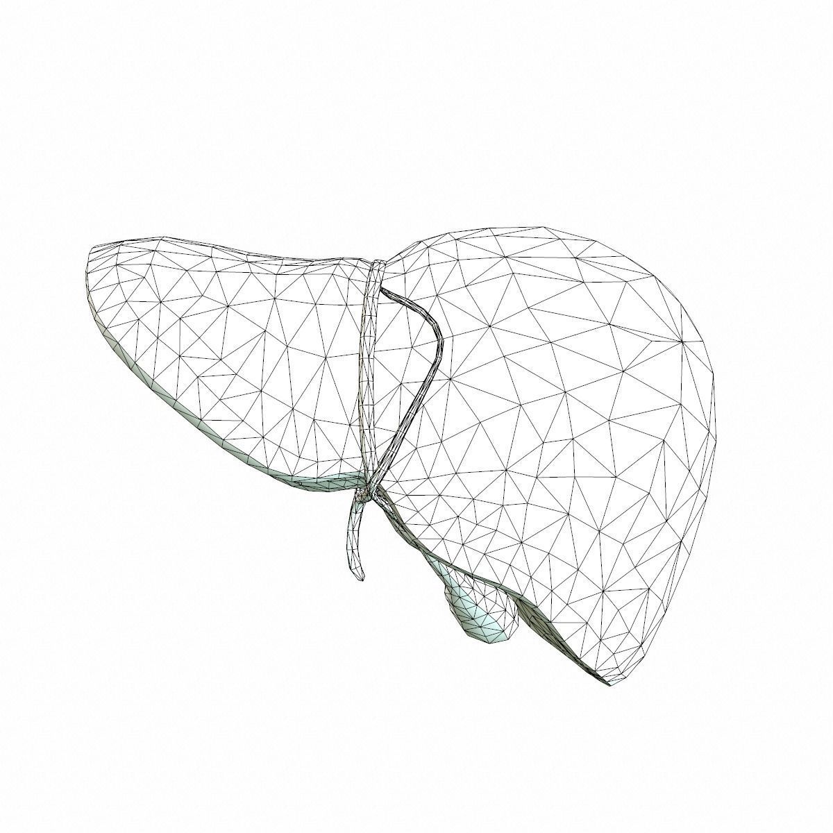 Human Liver Low-poly 3D model_10