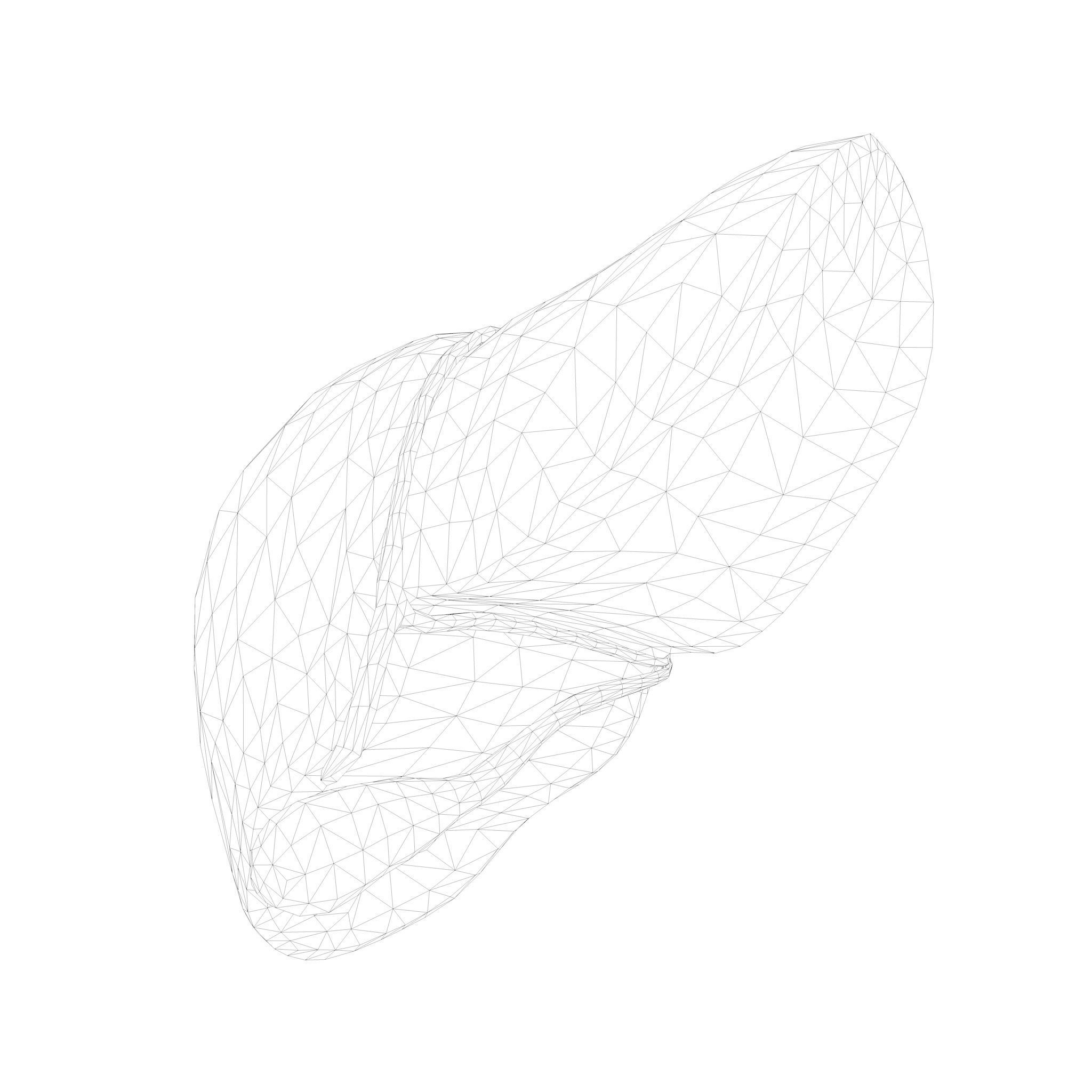 Human Liver Low-poly 3D model_7