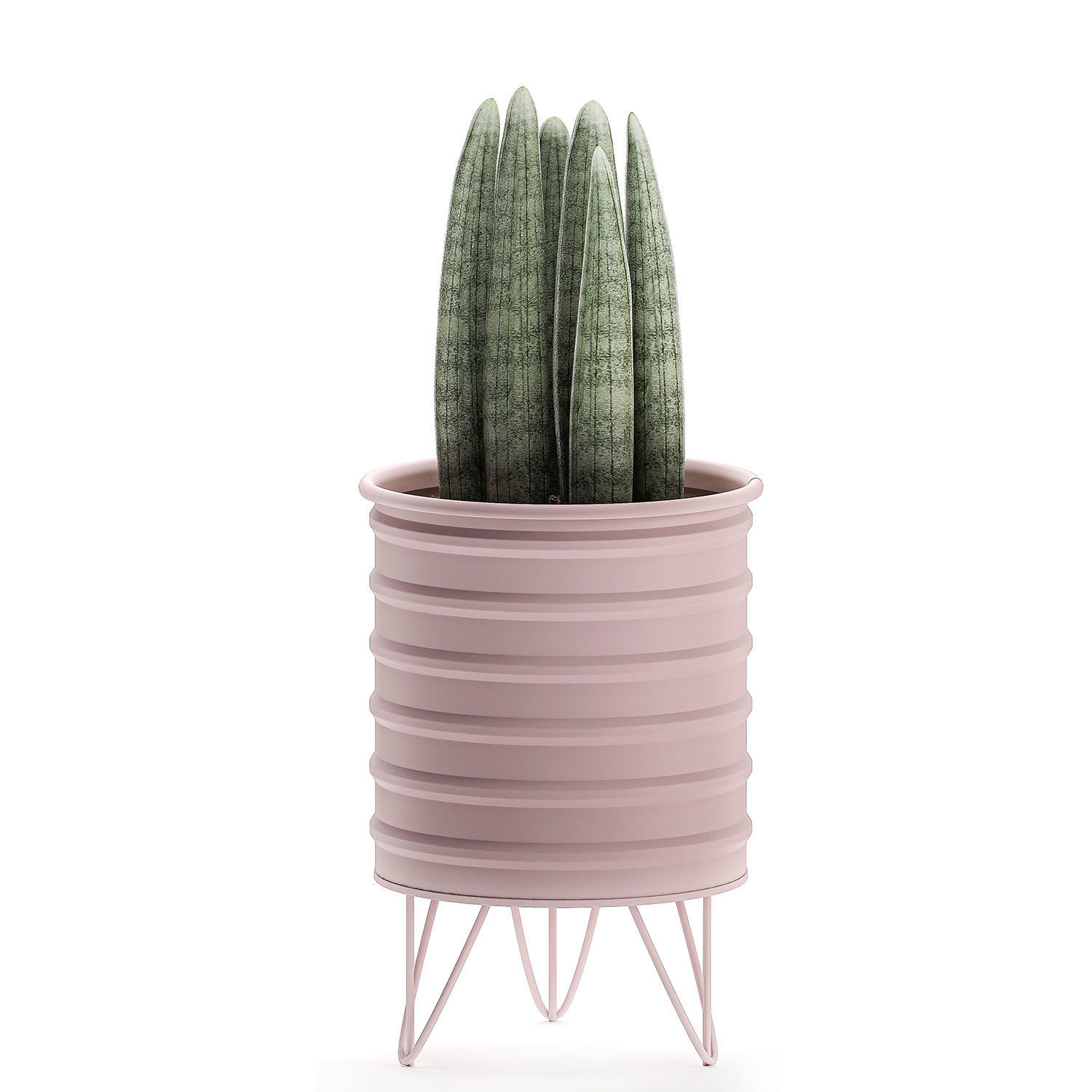  Decorative plants in pots on a stand for the interior 529 3D model_3