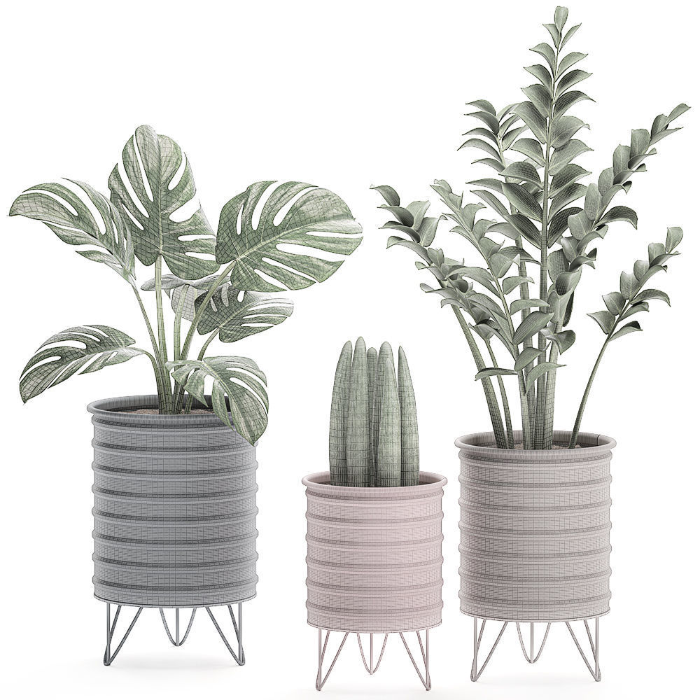  Decorative plants in pots on a stand for the interior 529 3D model_6