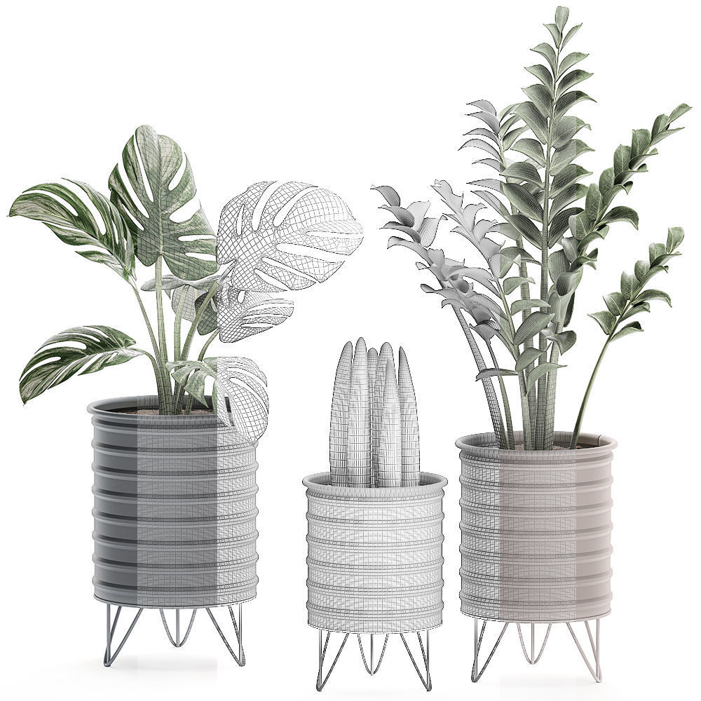  Decorative plants in pots on a stand for the interior 529 3D model_5