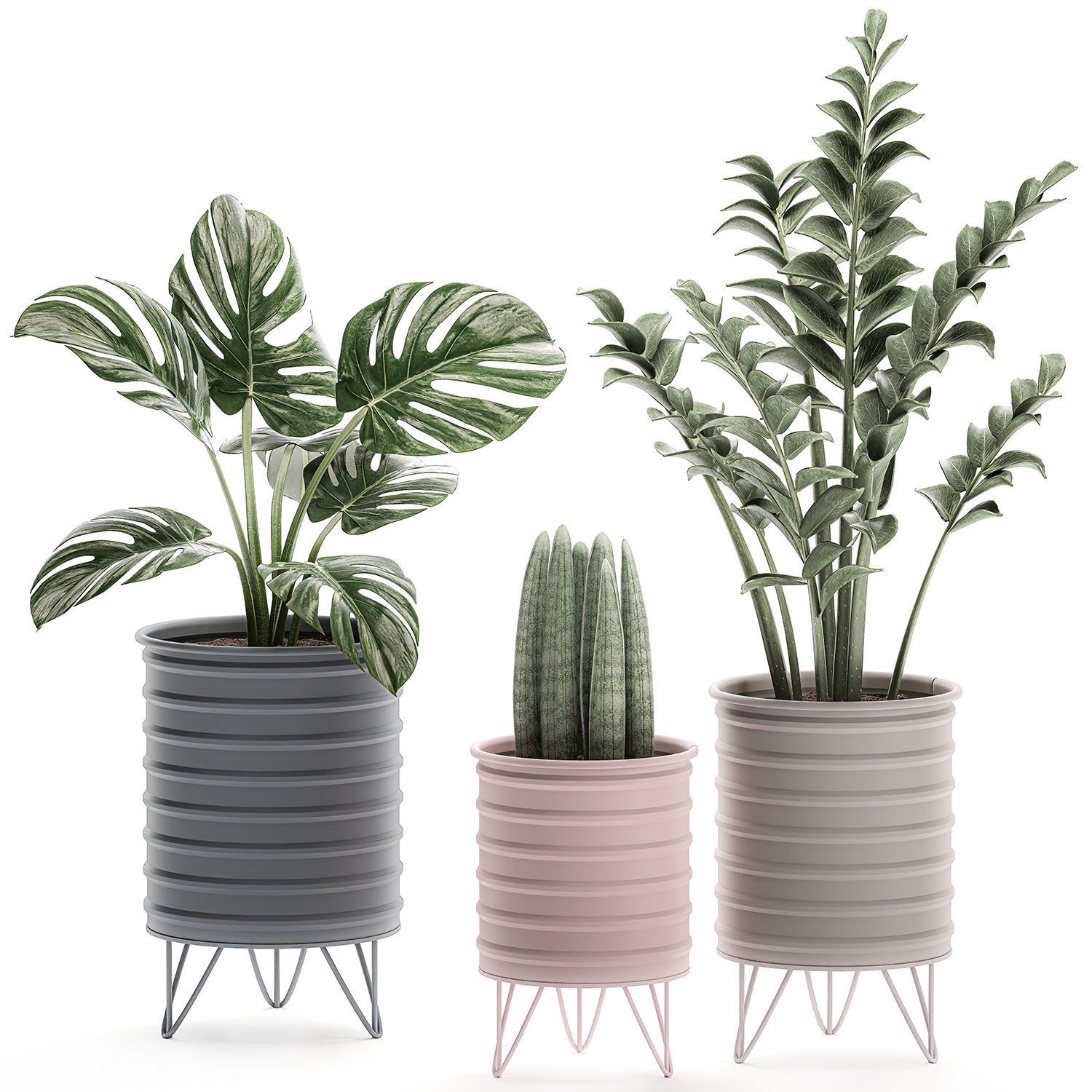  Decorative plants in pots on a stand for the interior 529 3D model_1