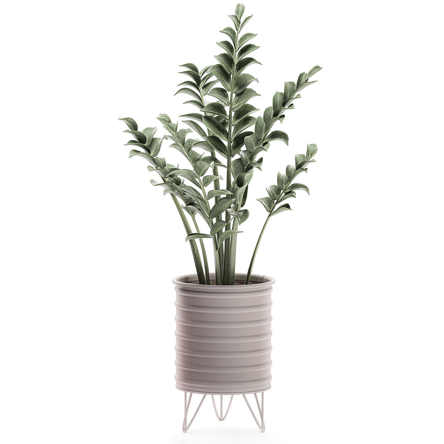  Decorative plants in pots on a stand for the interior 529 3D model_4